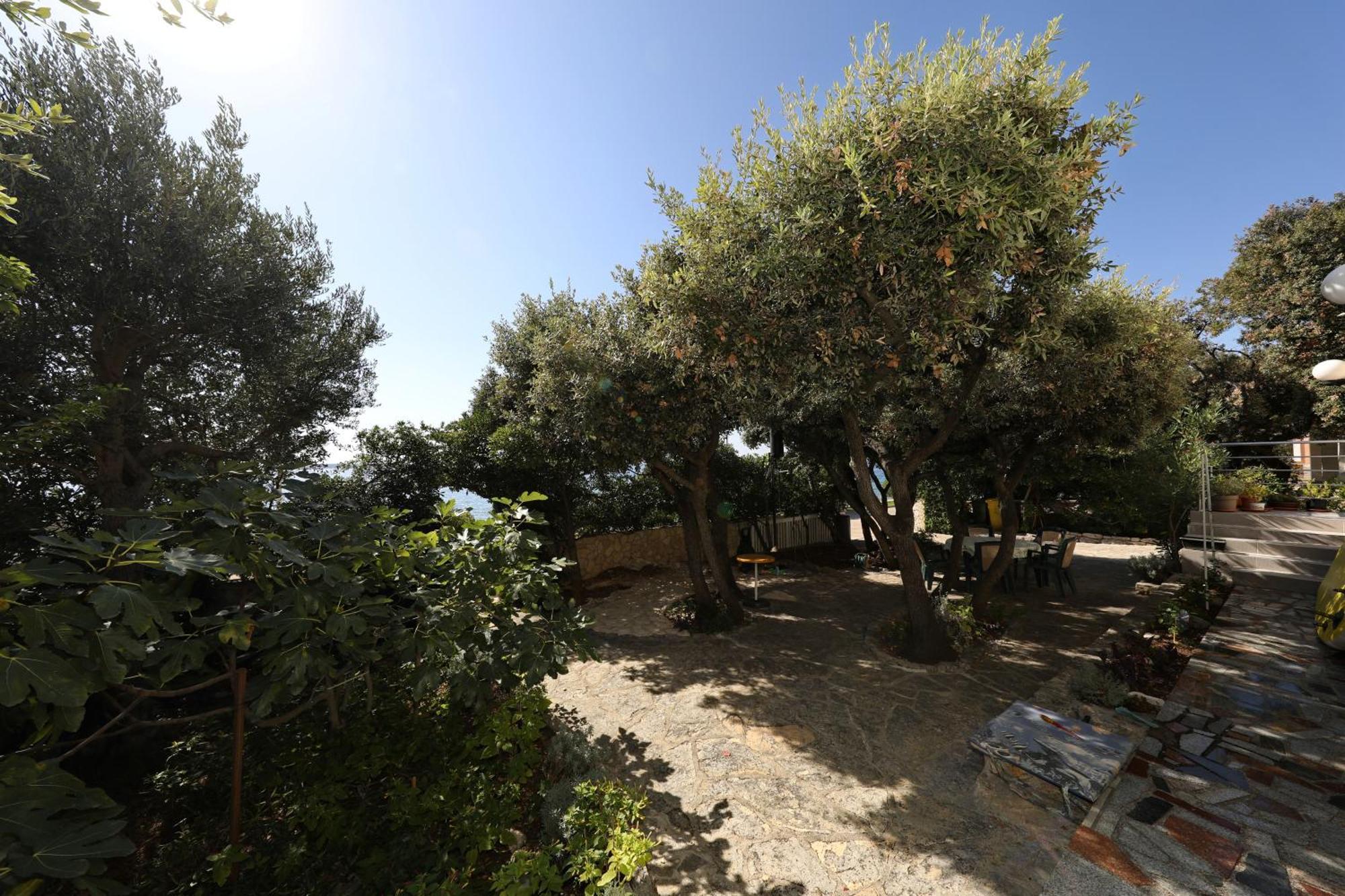 מאנדרה Horizonte Apartman מראה חיצוני תמונה
